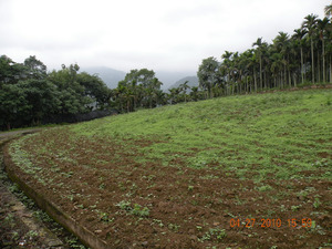 Former site of Wanrong Township Pinglin