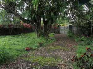 Hualien Sugar Factory Director's Residence