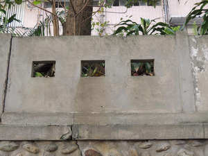 Hualien Harbor Elementary School Wall Remains