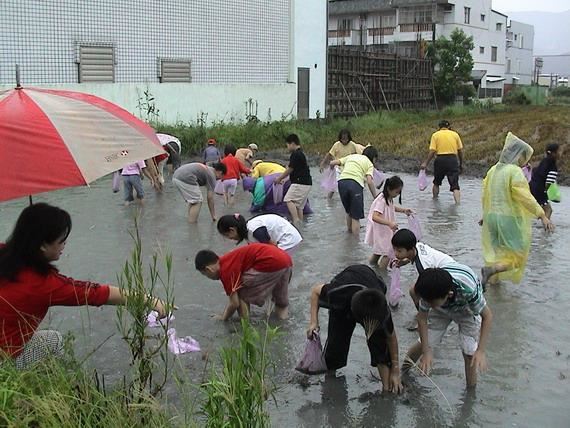 花蓮縣城西生活品質協進會