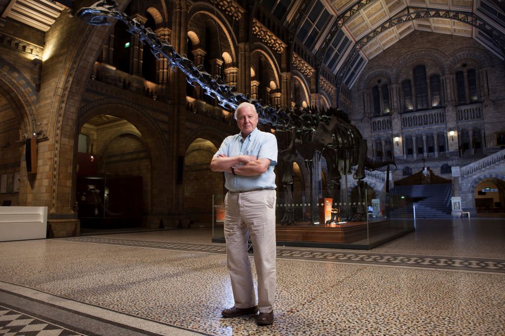 12/25(三)09：30  博物館復活記David Attenborough's Natural History Museum Alive(1)