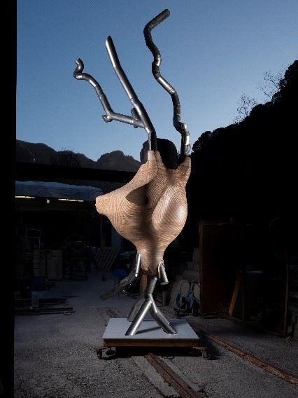 做品自控雕照片