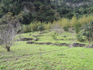 Former site of Fushi Former site of Fushi