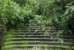 Xiulin Jiawan Shinto Shrine