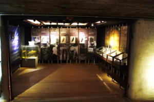 ChiHsin Dry Bonito Museum