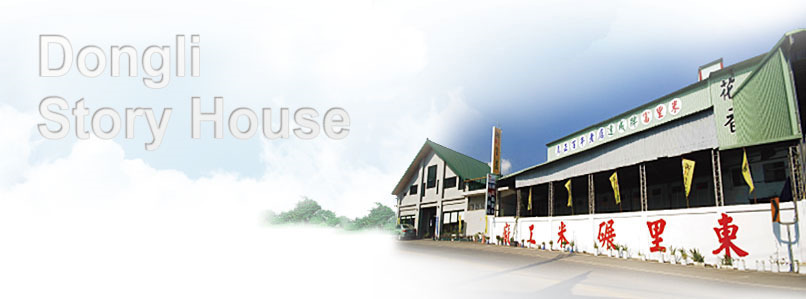 Dongli Story House